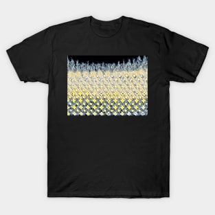 Ice Cold Lager T-Shirt